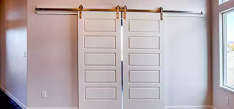 Glass Barn Door with Installation Hardware Kit Allentown